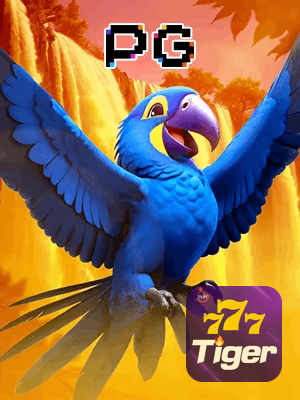777TIGER bônus — cashback 15 por cento e níveis VIP